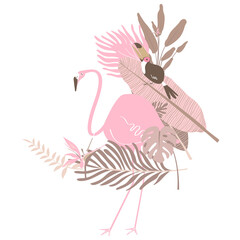 Pink bird botanical png clip art sticker, flamingo and toucan, transparent background