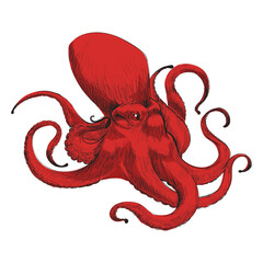 Png red Giant octopus  animal illustration, transparent background © Rawpixel.com