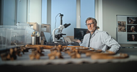 Mature scientist uses microscope, then examines bones of prehistoric extinct human skeleton with...