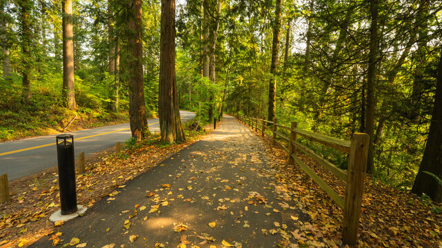 Shared walking and biking perimeter path at Maple Ridge Park, BC, in late summer.