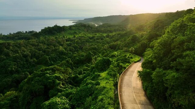Aerial view of a curvy road through lush tropical forest at sunset, Shefa Province, Vanuatu.