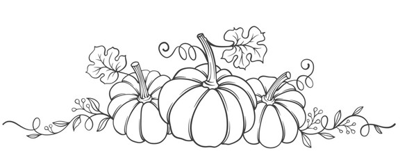 Pumpkin line art style vector illustration, thanksgiving, autumn, fall seasson element design © sense