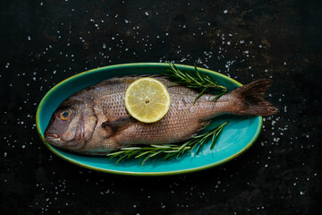 Dorade mit Zitrone und Rosmarin auf einem blauen Teller mit schwarzem Hintergrund