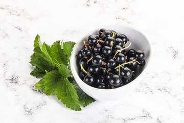 Juicy black currant berries in the bowl