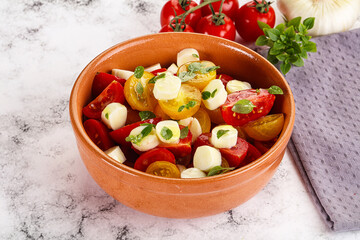 Italian Caprese salad with tomato and mozzarella