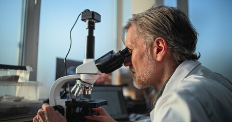 Mature chemist or microbiologist analyzes sample under microscope, looks at laptop screen. Scientist or archaeologist works with professional equipment in advanced archaeological science laboratory.
