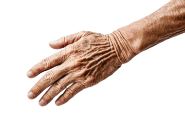 High-quality stock photograph, capturing an aged hand, solitary on a white backdrop, full body view, isolated, centered, showing every wrinkle and line of life lived