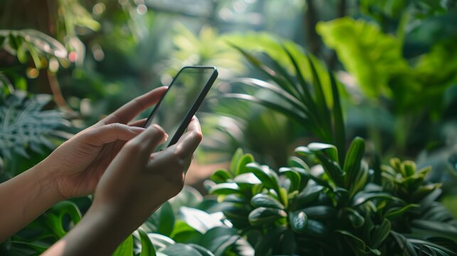 Digital Detox Retreat Promoting Balanced Use of Technology for Mental Health