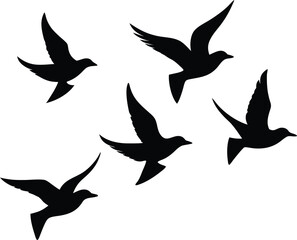 silhouettes of birds