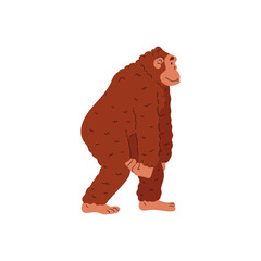 The walking ape man, Australopithecus, primitive primate man, vector cartoon ancient tribal character, antique caveman