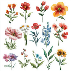 Fototapeta premium set of flowers pattern 