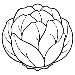 Obraz premium brussels sprouts vegetable outline coloring book page line art illustration digital drawing