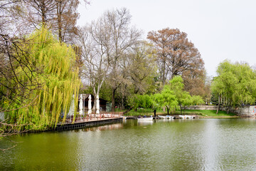 Lake and many large old trees, willows and and grass in a cloudy spring day in Parcul Tineretului (Tineretului Park) in Bucharest, Romania .