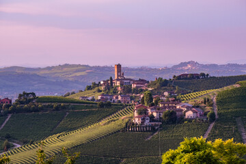 Vineyards of nebbiolo in Piedmont looking Barbaresco