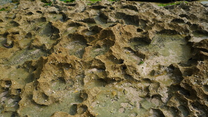 rough stone with depressions