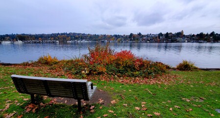bench in the autumn water view