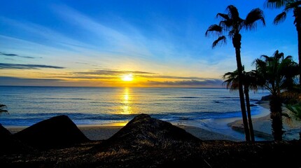 sunset on the beach, palm tree, rocks, reflection