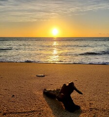 sunset on the beach, silhouette, reflection 