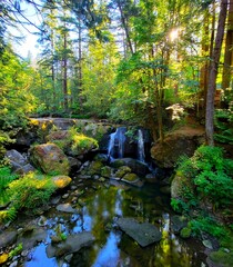 stream waterfall in the forest