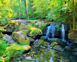 waterfall in the forest