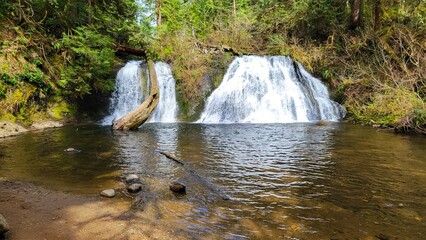 Waterfall in the forest, water pool, tranquil. 