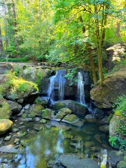 Forest waterfall, mossy rocks. Pacific Northwest.