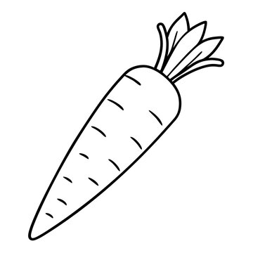 recommend clip art: carrots vegetable outline coloring book page line art illustration digital drawing