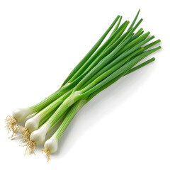Green onions on a white background, realistic style