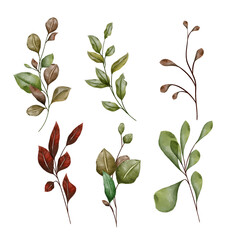 Watercolor vector branches with leaves,  isolated fall season decor elements on white background.