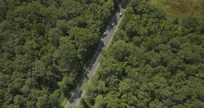 Aerial view of tranquil forest and winding road surrounded by lush trees, Parc des Oiseaux, Marlieux, France.