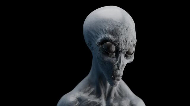 Grey Alien Looking Sideways and towards the camera Closeup of face Realistic 3D Animation with Alpha Map for Background Removal UHD 4K