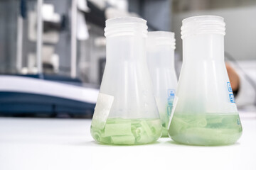 Close up view of small transparent plastic bottles with colorful fluid in them in a lab for research and development or in a scientific analysis laboratory.