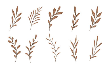 Watercolor vector branches with leaves,  isolated fall season decor elements on white background.