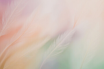 Image suspended amidst a delicate, ombre-inspired pastel gradient with soft feathery. Warm and gentle background perfect for a motivational quote
