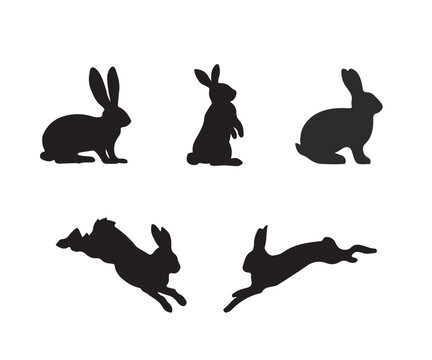 Set of rabbit silhouette