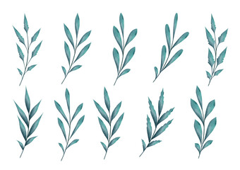 Watercolor branches with leaves,  isolated vector elements on white background.