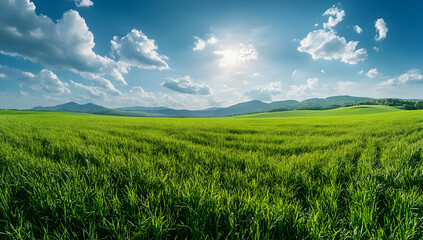 A serene landscape displaying vibrant green grass under a clear blue sky with fluffy clouds and distant mountains.