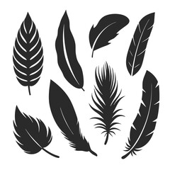 Versatile feather silhouette vector set, ideal for patterns, logos, and decorative designs.