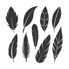 Versatile feather silhouette vector set, ideal for patterns, logos, and decorative designs.