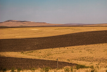 Obraz premium road in the field