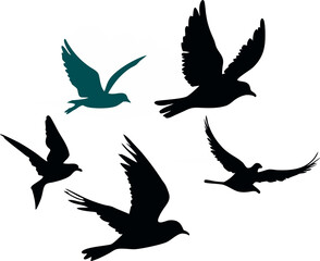 silhouettes of birds  transparent background png file,