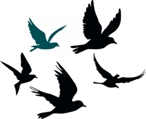 silhouettes of birds  transparent background png file,