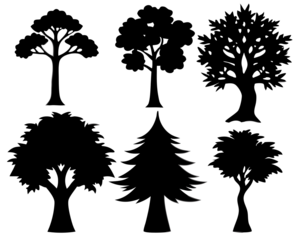 set of trees silhouettes  transparent background png file,