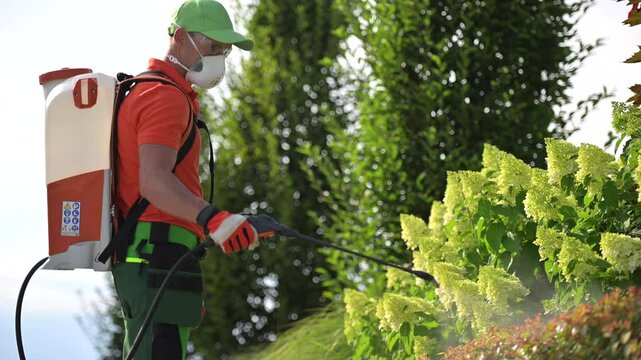 Gardener Applying Treatment to Flowerbed in a Residential Yard During Sunny Afternoon
