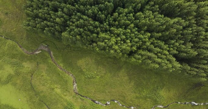 Aerial view of tranquil Loch Tulla surrounded by lush forests and vibrant greenery, Bridge of Orchy, Scotland.