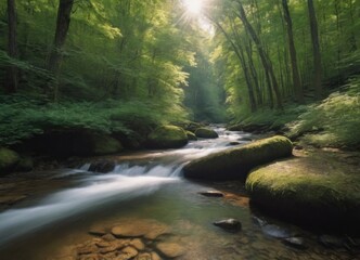Fototapeta premium A tranquil stream gently flowing through a lush green forest, creating a peaceful atmosphere