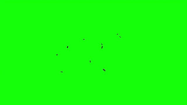 Swarm of flies animation on a green background. Swarm of bees flying chaotically around. The concept of something stinky. Cloud of insects. Flying beetles or bugs