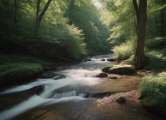 Obraz premium A tranquil stream gently flowing through a lush green forest, creating a peaceful atmosphere