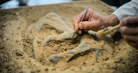 Close up shot of cleaning fossil remains of extinct civilization from sand using professional tool...