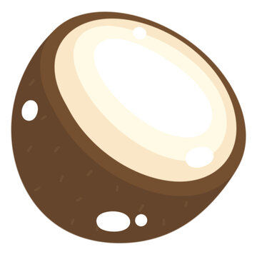 brown coconut cut open cartoon style clip art preview